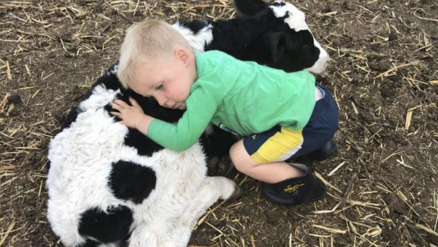 One of the youngest members of the Gamble family, Thomas on their Queensland dairy farm.