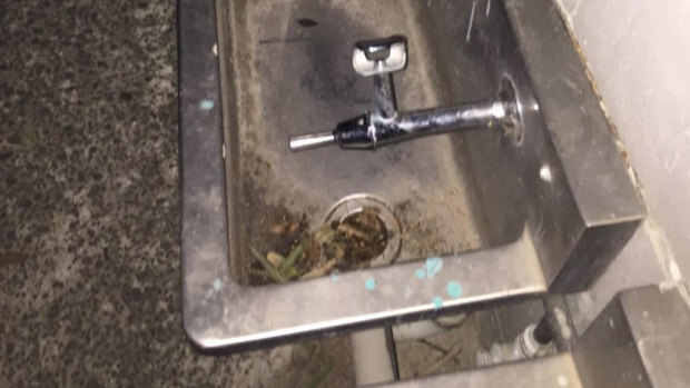 A clogged school drinking fountain.