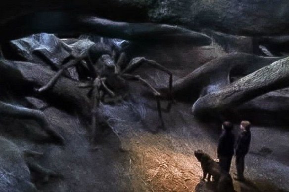 Aragog and her ravenous offspring from Harry Potter and the Chamber of Secrets (2002).