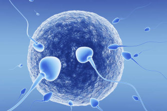 Sperm shortages are fueling a boom in  unregulated donor market