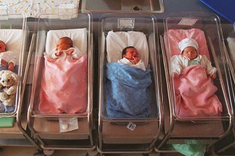 There has been a record number of babies born. 