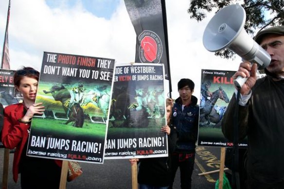 Animal rights protests are becoming a familiar sight at race meetings across Australia.