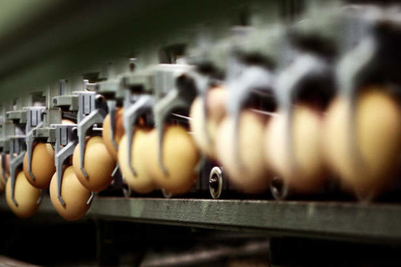 Eggs were in oversupply after the latest lockdown and farmers reduced their capacity. 