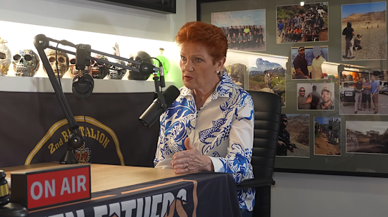 Pauline Hanson said that paid family and domestic leave was a “paid holiday” last year on the Broken Fathers podcast, hosted by Jared Purcell. 