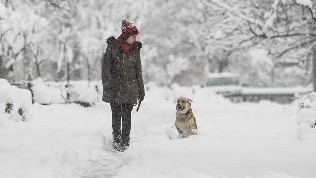 A young woman walks her dog on a snowy day in Tehran, Iran. Such activity is frowned upon by conservative hard-liners who see it as a symptom of Western influence.