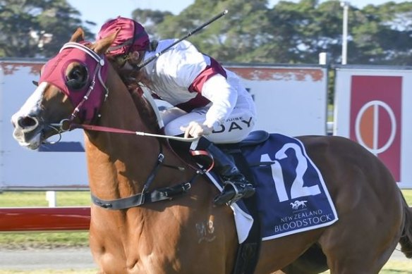 Connections believe a gelding operation could be the secret to unlocking the potential of Morethannumberone, who has won just one race from 15 starts.