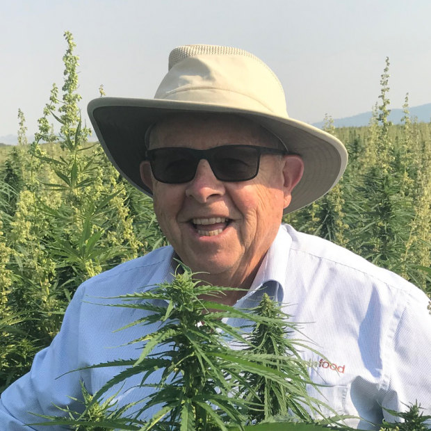 Barry Lambert in a hemp plantation in Tasmania: “Hemp is as safe – and natural – as broccoli or orange juice,” he says.