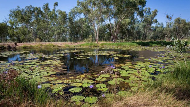 Doongmabulla Springs, south-west of the proposed Carmichael mine. Impact on this spring is at the centre of Adani's final approvals.