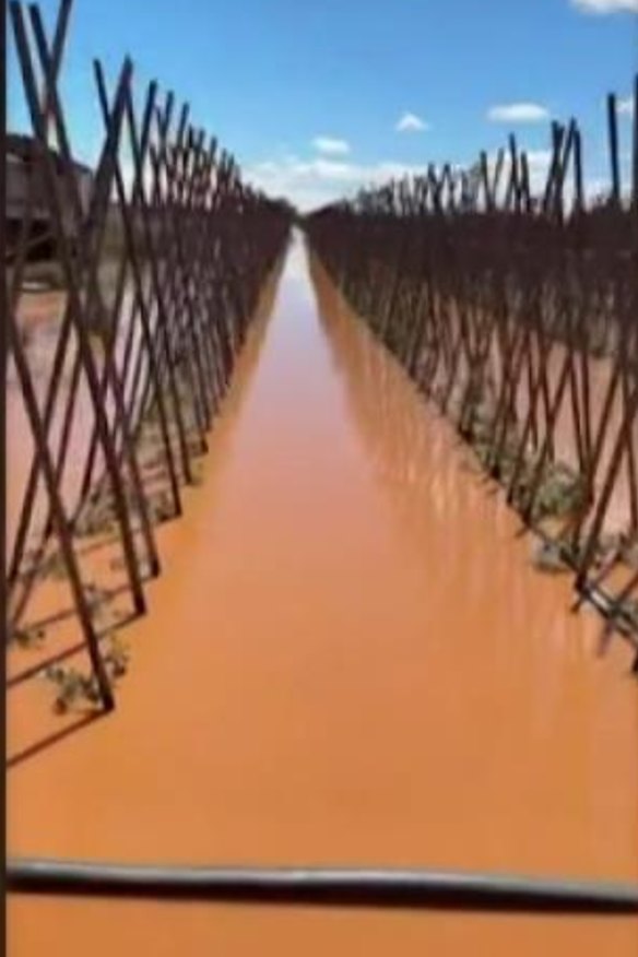 Crops in Carnarvon have been destroyed by ex-TC Narelle.