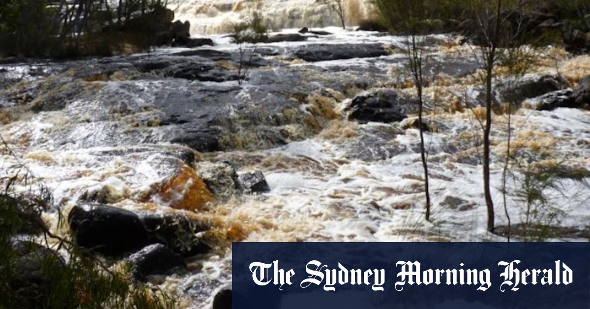 Police divers find missing eight-year-old boy's body - Vimarsana News