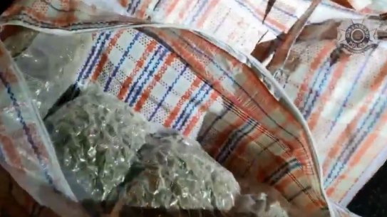 A man was arrested at the Gold Coast border on April 8. 