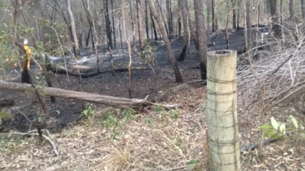 Queensland police are searching for the arsonist who lit a blaze on the Gold Coast amid the bushfire dangers.