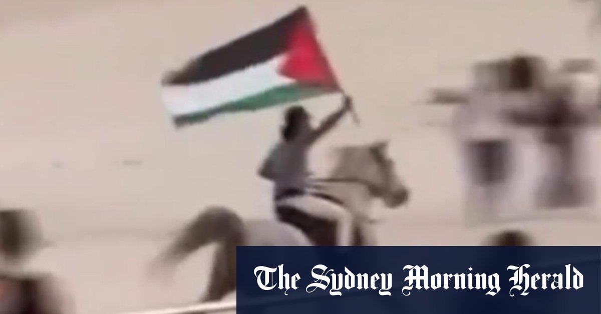 Cowboy act triggers horse crackdown on Sydney beaches