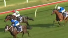 Winx finishes off career in style