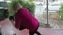 An alleged flower thief has been caught on CCTV ripping flowers from the garden beds of Adelaide businesses, leaving the owners bewildered.