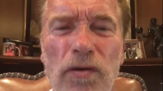 Schwarzenegger calls Trump a 'little wet noodle' after Putin news conference