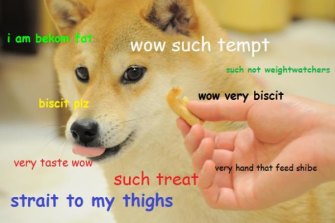 Wow such meme: doge overtook the internet in 2013.
