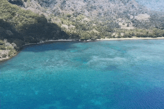 The Lesser Sunda Islands harbours incredible marine biodiversity.