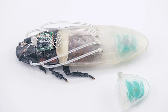 Other researchers have made 3D-printed diving suits for cyborg cockroaches that could help in flood rescues.