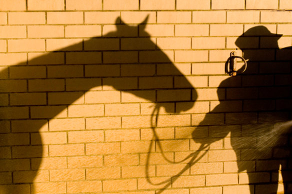 A horse has tested positive to cocaine after a maiden win at Pakenham.