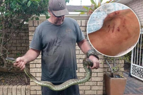 Ben Black says a snake lunged at his son and rolled into the pool with him.