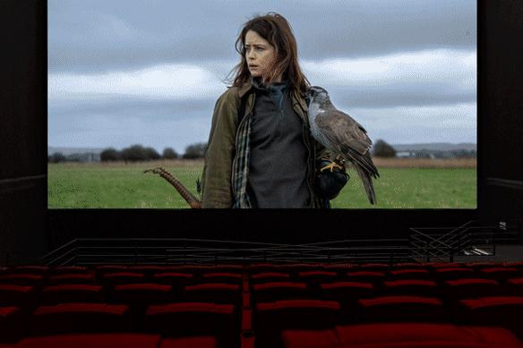 What to watch at the movies this week: H is for Hawk, Power Ballad, Backrooms,  and Amrum.