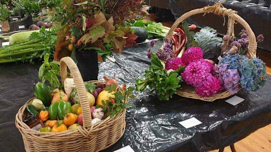 Seasonal leaves, flowers and fruits