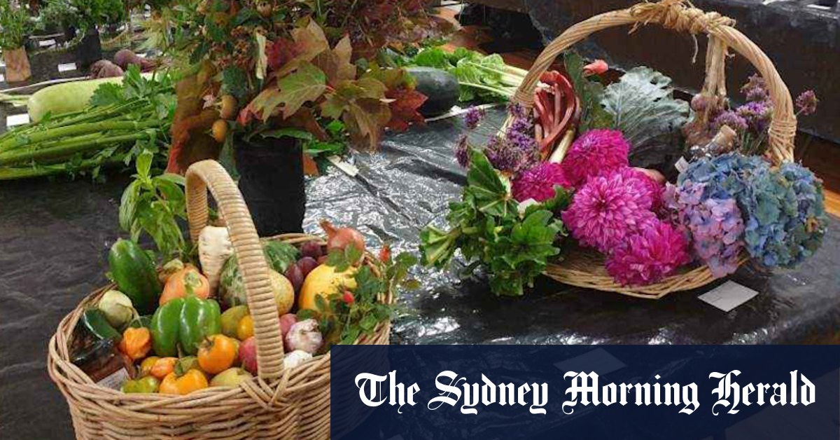 The best way to get to know plants? Join the club - Vimarsana News