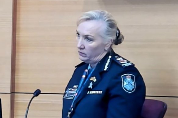 Police Commissioner Katarina Carroll gave evidence at the Independent Commission of Inquiry into QPS Responses to Domestic and Family Violence.