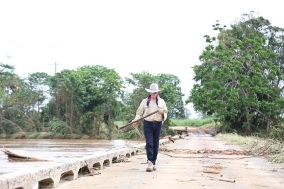 Mangoes and avocados are among the crops ruined in Cyclone Jasper.