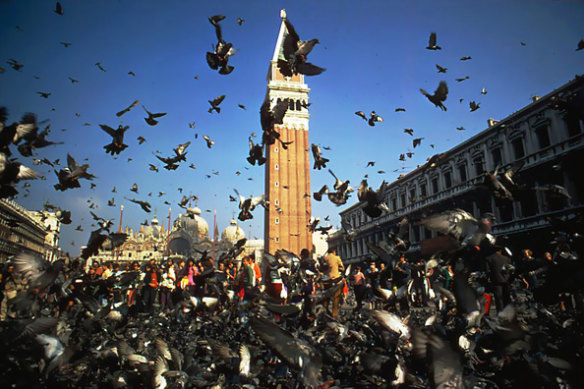 Bird mess is a blight on many European cities, covering bicycles, pavements and virtually any other surface where the “rats of the sky” like to gather.