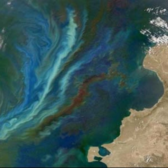 Could artificial algae blooms help stop global warming?