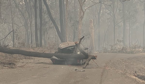 A car crushed by a fallen tree near Malua Bay during the Black Summer bushfires, photographed by local member and Transport Minister Andrew Constance.