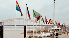 The flags in Glasgow.