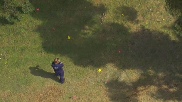 A police officer examines a patch of parkland in Greenvale after human remains were found.