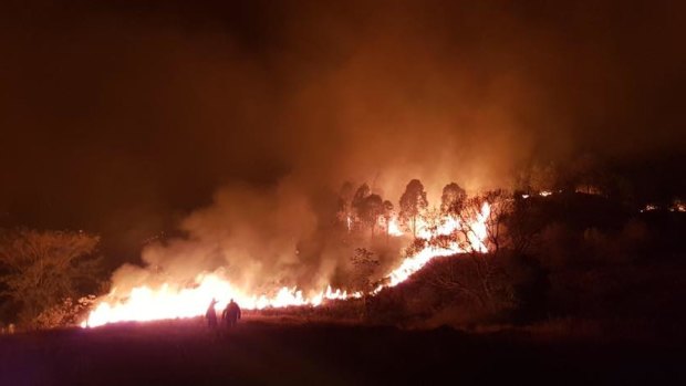 Fires have been raging for days in the Gold Coast hinterland. 