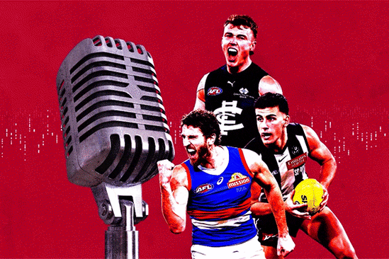 Some of the players picked in the Real Footy super draft.