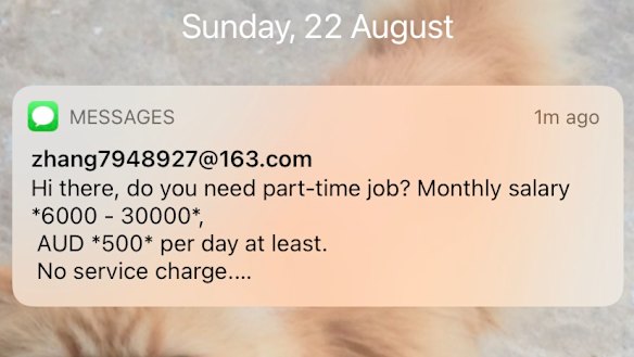 Telstra and Optus say a regulatory change will allow them to better identify and block scam text messages at the source.