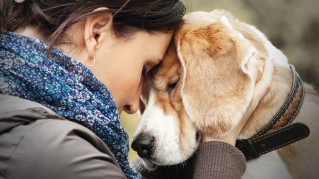 Help improve your four-legged friend’s mental health.