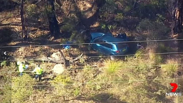The car came to rest in trees by the side of Picton Road.