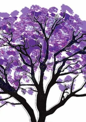 As familiar as the harbour ... jacarandas. Illustration: Jo Gay