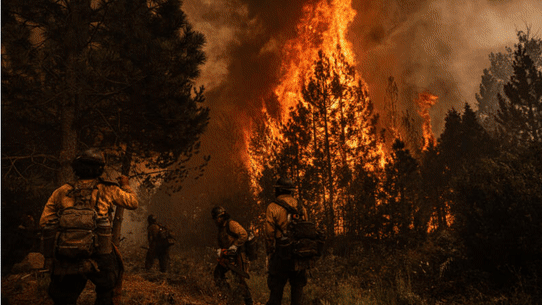 The Park Fire - US Wildfires