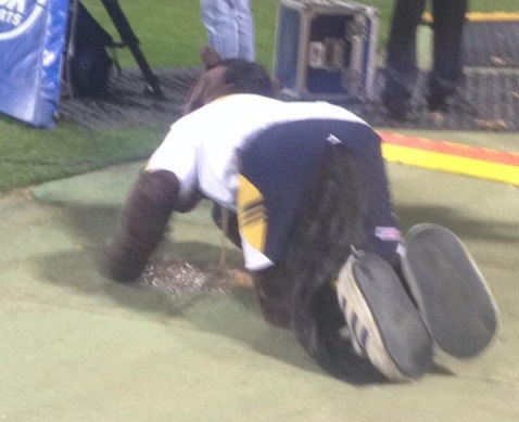 Brumby Jack struggles during the Chiefs game.