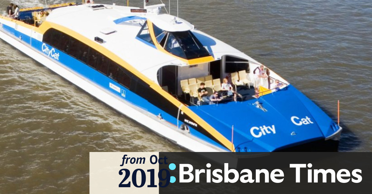 Citycats To Ferry City S Dogs By Christmas