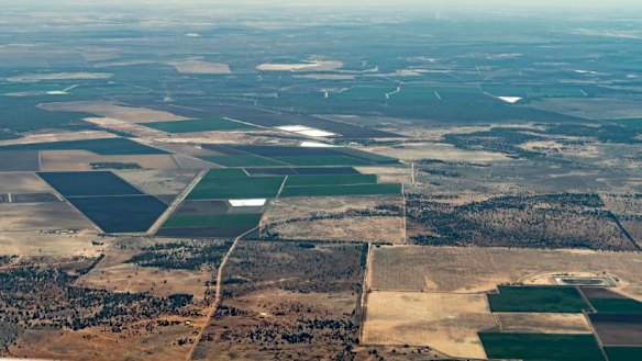 Cotton farms, including Kiameron, are green even as drought limits flows to the nearby Macquarie Marshes.