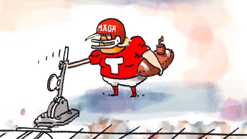 Best of cartoons, June 18, 2025
