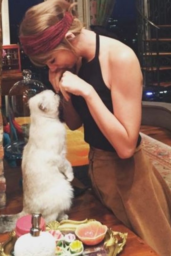 Taylor Swift is helping put the power behind the label 'cat lady' back into the hands of single women.