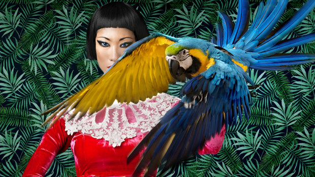 Props for  Indochine included a colourful macaw and an albino Burmese python.