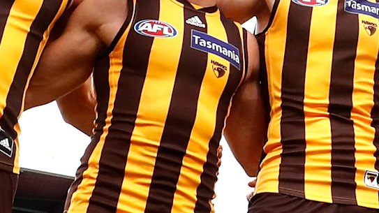 The terms of reference have been released for the panel investigation claims of racism at Hawthorn.