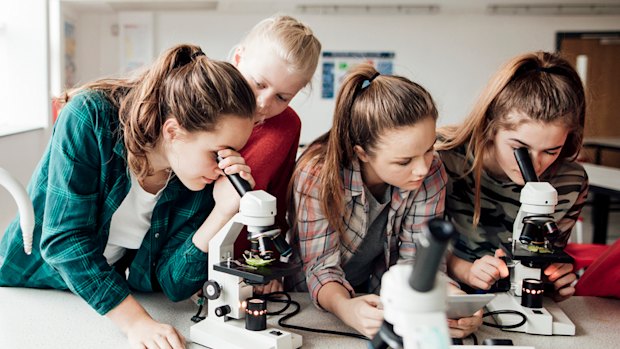 Nearly half of young women aged 15–24 report no interest in pursuing STEM careers.